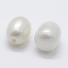 Natural Cultured Freshwater Pearl Beads PEAR-P056-031-2