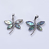 Abalone Shell/Paua Shell Pendants SSHEL-L008-07P-2