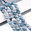 Dyed Synthetic Fossil Beads Strands G-T139-8mm-66G-2