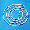 Natural Trumpet Shell Beads Strands S02KI011-2
