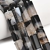 Natural Agate Beads Strands GG-L001-H01-02E-1