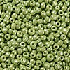 8/0 Glass Seed Beads SEED-A012-3mm-124-2