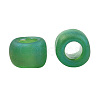TOHO 8/0 Round Beads X-SEED-TR08-0167BF-3