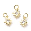 Brass Micro Pave Cubic Zirconia Pendants KK-P188-H04-G-1