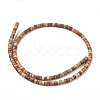 Natural Picture Jasper Beads Strands G-F631-A27-2