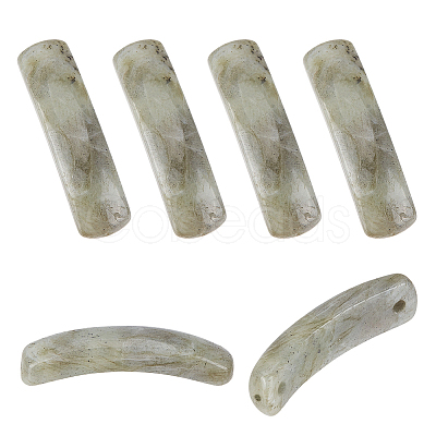 6Pcs Natural Labradorite Connector Charms G-OC0005-91F-1
