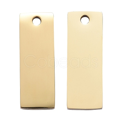Ion Plating(IP) 304 Stainless Steel Pendants LS-STAS-I140-22B-G-1