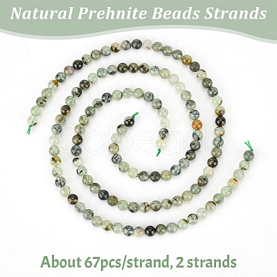 2 Strands Natural Prehnite Beads Strands G-OC0004-73-1