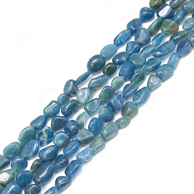 Natural Apatite Beads Strands G-S301-39-1