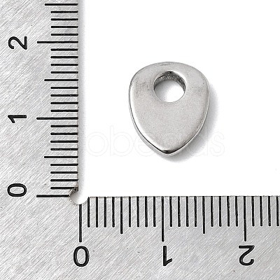 304 Stainless Steel Charms STAS-H247-06P-1