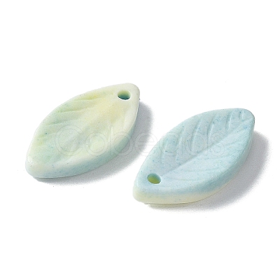 Natural Rainbow Alashan Agate Pendants G-G194-03D-1