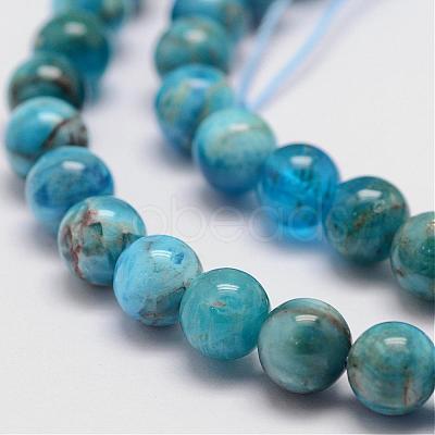 Natural Apatite Beads Strands G-D856-01-6.5mm-1