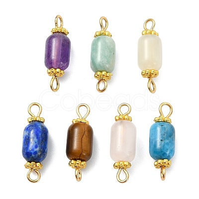 Natural Gemstone Connector Charms PALLOY-JF05820-1