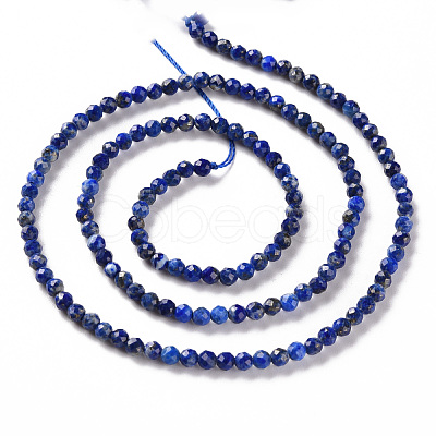 Natural Lapis Lazuli Beads Strands X-G-S362-112B-1