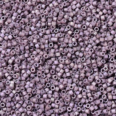 MIYUKI Delica Beads X-SEED-J020-DB1064-1