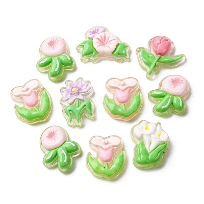 Transparent Resin Cabochons CRES-I046-09-1