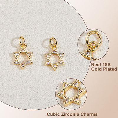 12Pcs Rack Plating Brass Micro Pave Cubic Zirconia Charms KK-HS0015-04-1