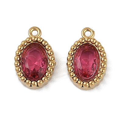 Ion Plating(IP) 304 Stainless Steel Micro Pave Cubic Zirconia Charms STAS-K256-19G-04-1
