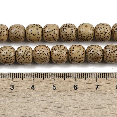 Natural Rudraksha Bodhi Seed Beads Strand WOOD-B010-A03-8x9mm-1