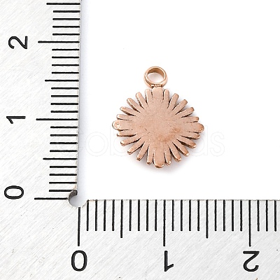 304 Stainless Steel Charms STAS-H165-22RG-1