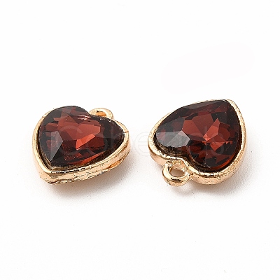 Faceted Glass Rhinestone Pendants GLAA-I051-B04-1