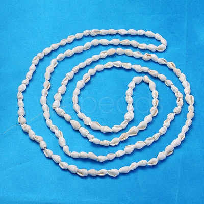 Natural Trumpet Shell Beads Strands S02KI011-1