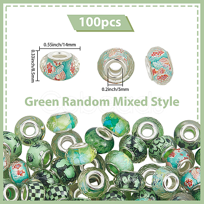 100Pcs Printed Transparent Resin European Beads RESI-PA0001-18A-1