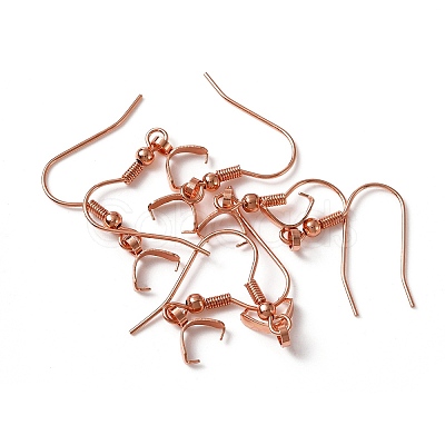 304 Stainless Steel Earring Hooks LS-X-STAS-WH0035-14RG-1