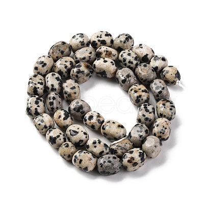Natural Dalmatian Jasper Beads Strands G-G146-A24-01-1