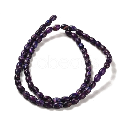 Synthetic Regalite/Imperial Jasper/Sea Sediment Jasper Beads Strands G-F765-J02-01-1