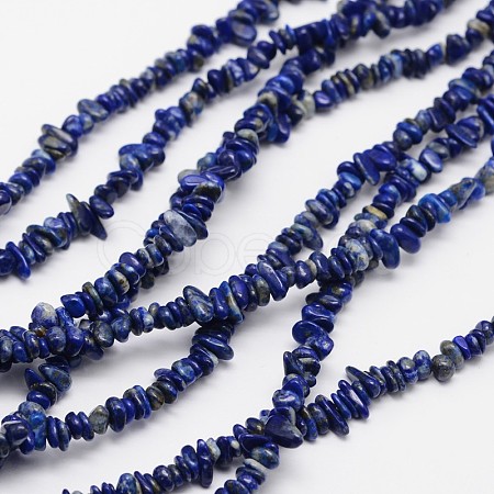 Chips Natural Lapis Lazuli Beads Strands G-N0164-46-1