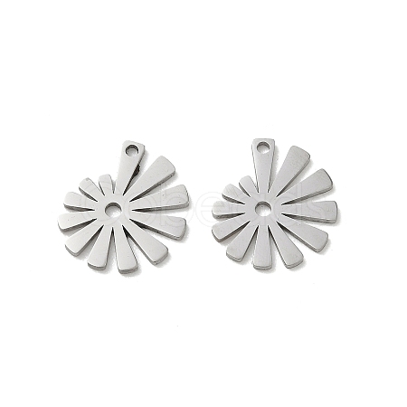 304 Stainless Steel Charms SA-CBA28C1-02G-P-1