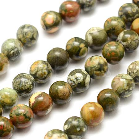Natural Rhyolite Jasper Bead Strands G-G684-01-6mm-1