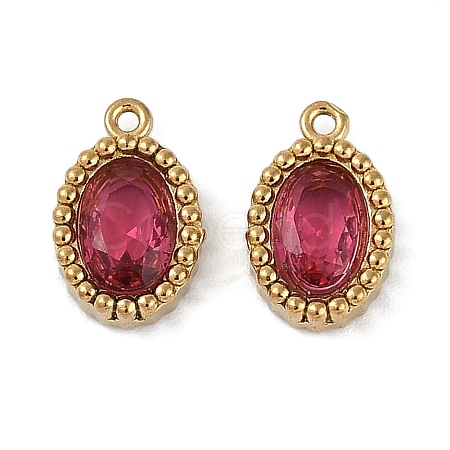 Ion Plating(IP) 304 Stainless Steel Micro Pave Cubic Zirconia Charms STAS-K256-19G-04-1