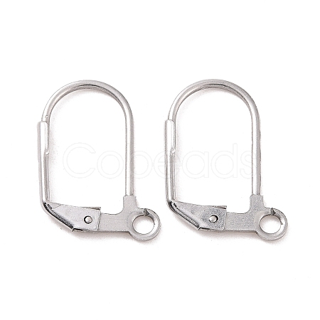 Tarnish Resistant Original Color Stainless Steel Leverback Earring Findings X-STAS-E007-6-1