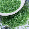 MIYUKI Round Rocailles Beads X-SEED-G007-RR0259-1