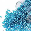 TOHO 11/0 Round Beads X-SEED-TR11-0023BF-1