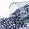 TOHO Round Seed Beads SEED-XTR15-0206-1