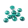 Natural Malachite Cabochons G-E557-06D-2