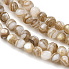 Natural Freshwater Shell Beads Strands SHEL-K006-71C-3