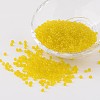 8/0 Glass Seed Beads X-SEED-A004-3mm-10-1