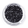 Glass Twisted Bugle Seed Beads SEED-S018-02A-2