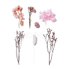 Dried Flowers DIY-D052-13-2