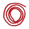 Transparent Glass Beads Strands GLAA-C019-01B-10-2