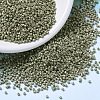 MIYUKI Delica Beads X-SEED-J020-DB1170-1