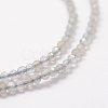 Natural Labradorite Beads Strands G-K185-10-3