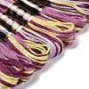 10 Skeins 6-Ply Polyester Embroidery Floss OCOR-K006-A76-2