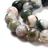 Natural Tree Agate Beads Strands G-I199-03-8mm-2