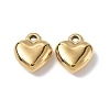Ion Plating(IP) 304 Stainless Steel Charms STAS-C066-16G-1