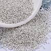 MIYUKI Delica Beads SEED-X0054-DB0551-1